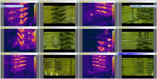 紅外熱像儀在線監(jiān)測(cè)系統(tǒng)在換流站中的應(yīng)用