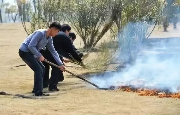 鳥(niǎo)槍換炮式的森林防火裝備升級(jí) 記錄森林防火發(fā)展軌跡